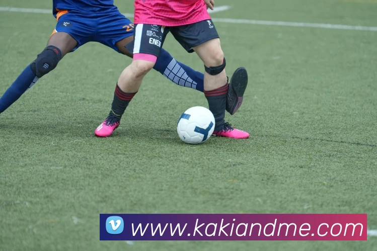 开云kaiyun网页版APP 封面图